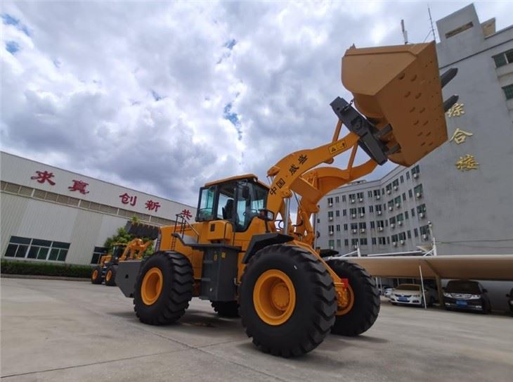 China Mini Loader